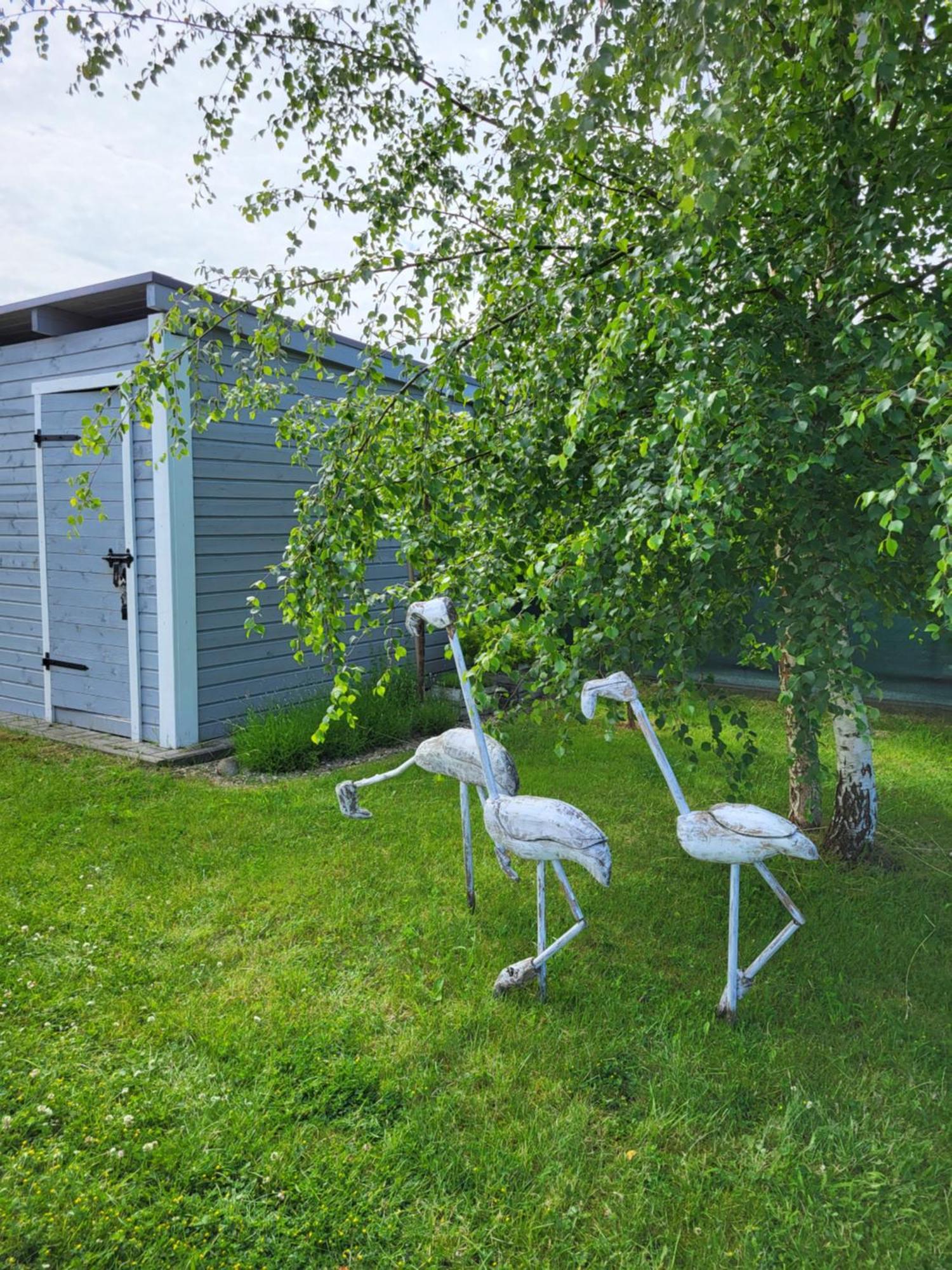 Domki Letniskowe Gris Grzybowo  Exteriér fotografie